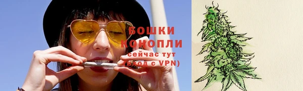 ALPHA-PVP Вяземский