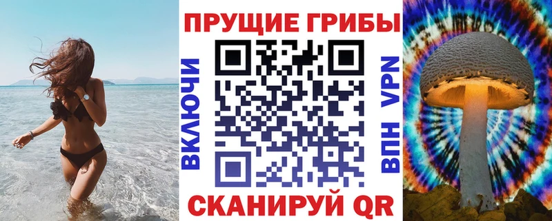 Галлюциногенные грибы Magic Shrooms  Купить где  Минусинск 